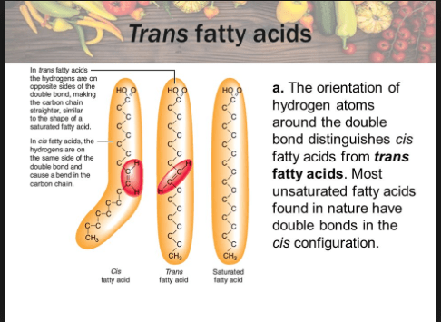 screen-shot-2017-01-18-at-3-28-31-pm