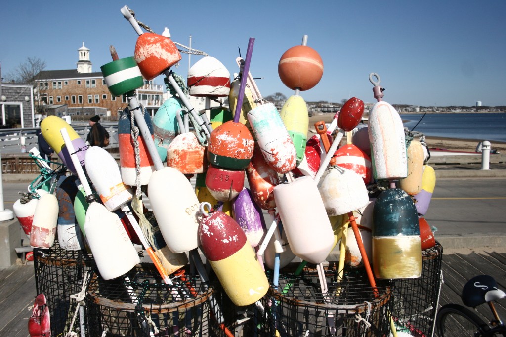 What Kind of Lifter am&nbsp;I?